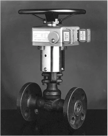 Figure 10-4. Gate Valve with Mechanical Locking Device.