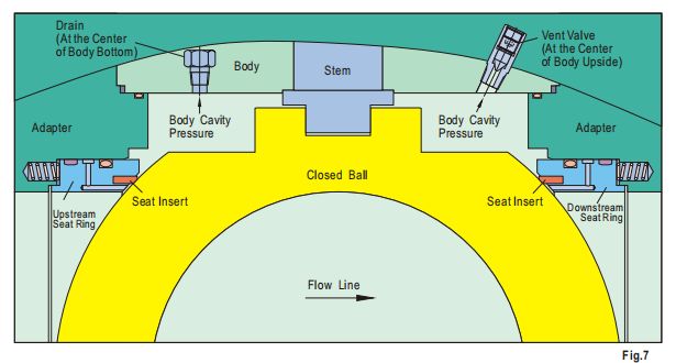 trunnion ball valver double block and bleed (dbb)
